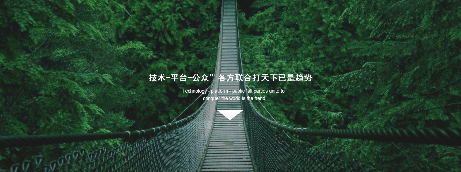 老女人毛茸茸北京环丁环保大数据研究院
